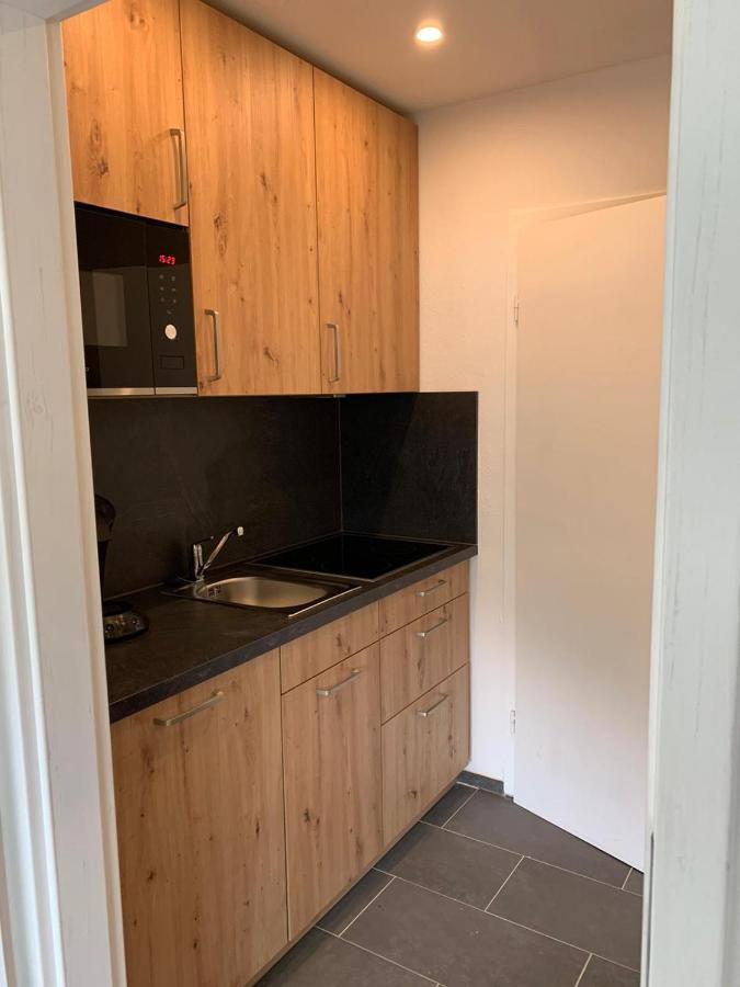 Haus Am Sonnenberg,Todtnauberg, Ferienwohnung 105, Direkt Am Skilift-Skipiste, Naehe Feldberg Eksteriør bilde